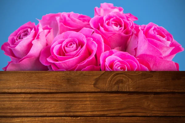 Immagine composita di fiori rosa — Foto Stock
