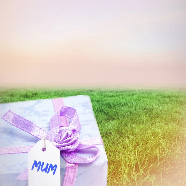 Composite image of mothers day greeting — Stock Photo, Image