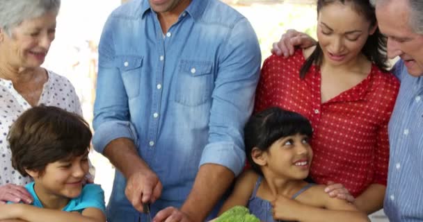 Family cutting vegetables together — Stock Video