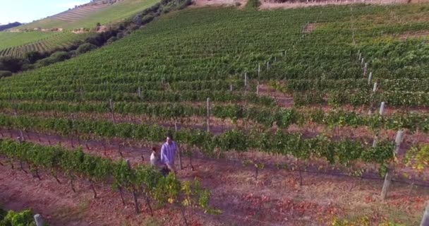 Imágenes de drones de una pareja caminando — Vídeo de stock