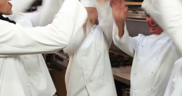 Кухарі підбадьорюють і складають руки разом — стокове відео