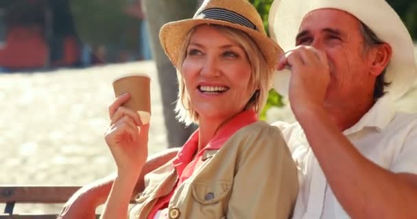 Couple souriant assis sur un banc — Video