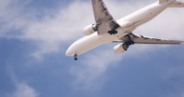 Video de un avión — Vídeo de stock