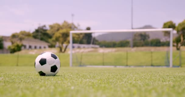 Jugador de fútbol anotando un gol — Vídeos de Stock