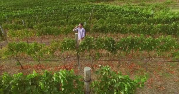 Imágenes de drones del hombre bebiendo vino tinto — Vídeo de stock