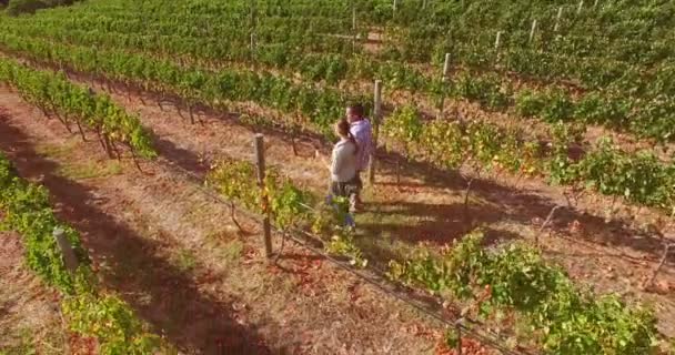 Imágenes de drones de una pareja caminando — Vídeos de Stock