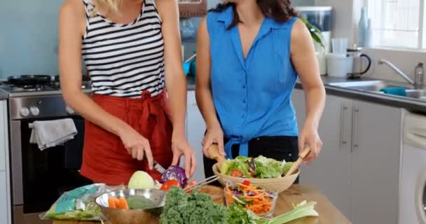 Freunde bereiten gemeinsam Salat zu — Stockvideo