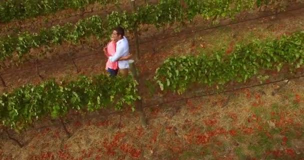 Drohnenaufnahmen von Pärchen, die sich umarmen — Stockvideo