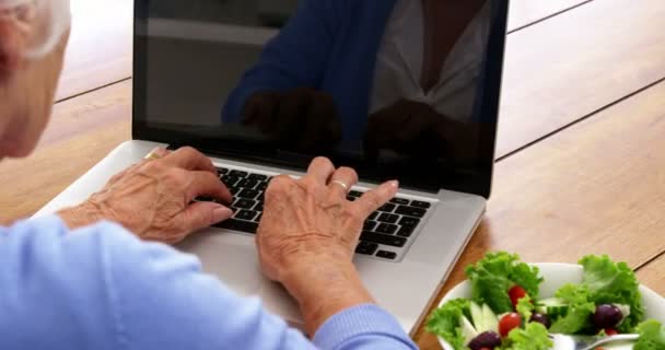 Woman using a laptop — Stock Video