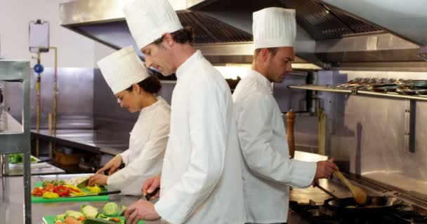 Team von Küchenchef bereitet Essen zu — Stockvideo