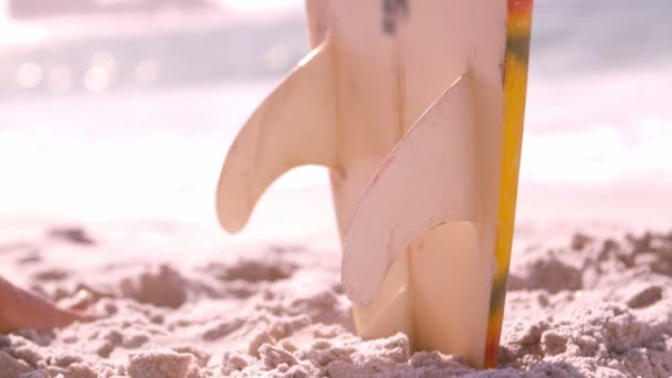 Homem está tomando sua prancha de surf — Vídeo de Stock