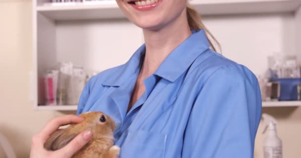 Veterano sosteniendo un conejo — Vídeos de Stock