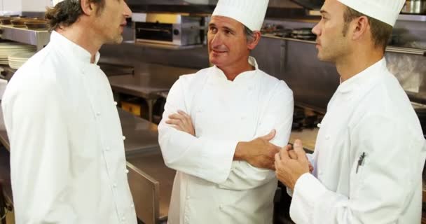 Group of chef talking — Stock Video