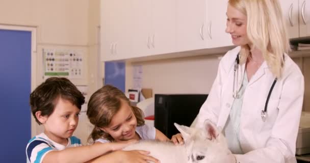 Dierenarts en kinderen een hond aaien — Stockvideo