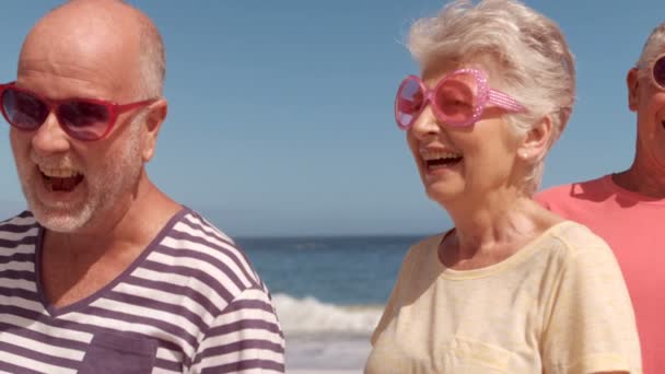 Pessoas maduras com óculos de sol sorrindo — Vídeo de Stock