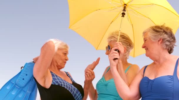 Women are talking under an umbrella — Stock Video