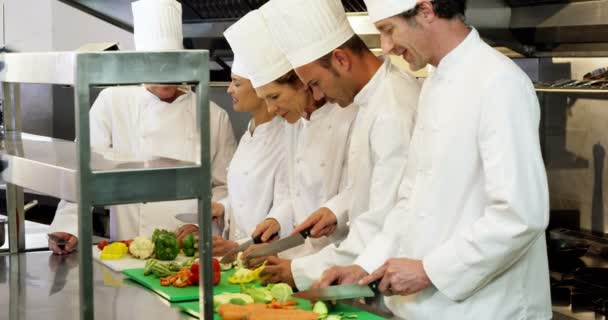 Cook gourmets preparing a salad — Stock Video