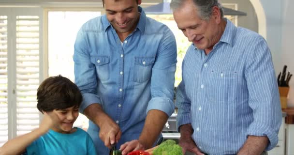 Mehrgenerationenmänner der Familie kochen — Stockvideo