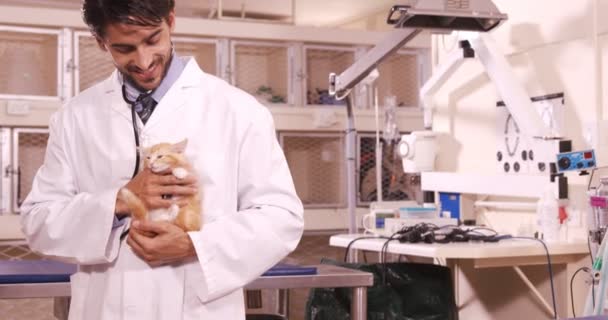 Weterynarz trzyma kot — Wideo stockowe