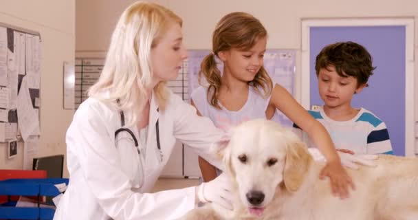 Ветеринар и дети гладят собаку — стоковое видео