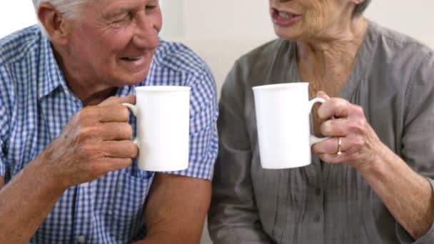 Lyckliga äldre par grillas tillsammans — Stockvideo