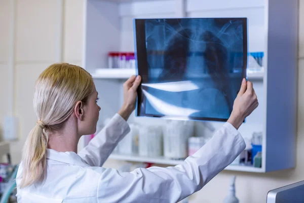 Una mujer veterinaria observando una radiografía — Foto de Stock