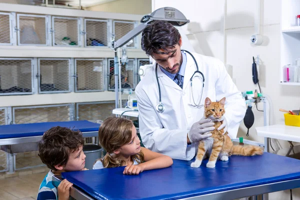 Veterinario prendersi cura di un gatto mentre due bambini stanno guardando il c — Foto Stock