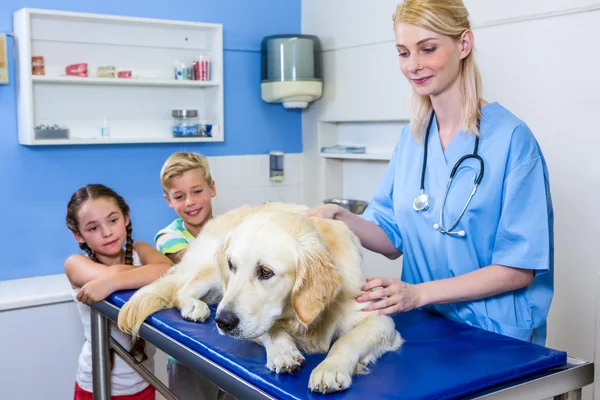 一名女兽医和儿童看一只狗 — 图库照片