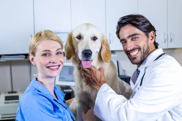 Två veterinärer klappa en hund — Stockfoto