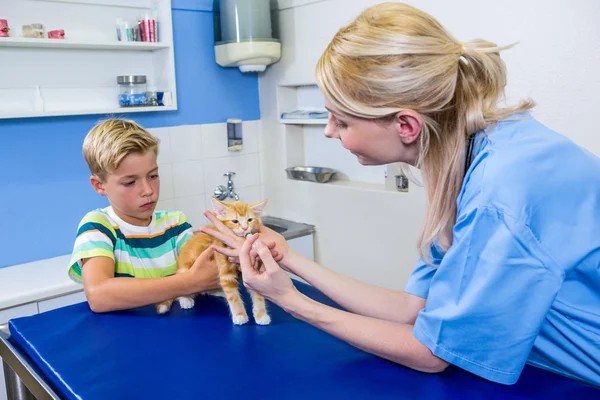Una donna veterinaria che mette giù un gattino — Foto Stock