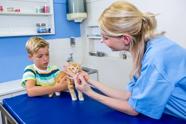 Une femme vétérinaire pose un chaton — Photo