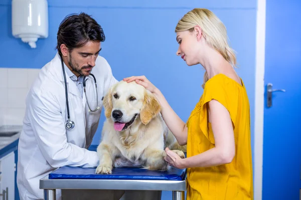 Een dierenarts van de man en zijn klant een hond aaien — Stockfoto