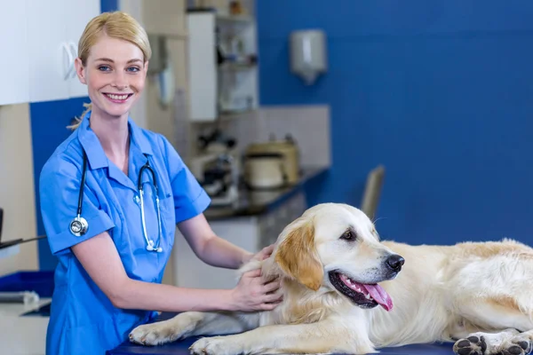 Mujer veterinaria sonriendo y posando con un perro — Foto de Stock