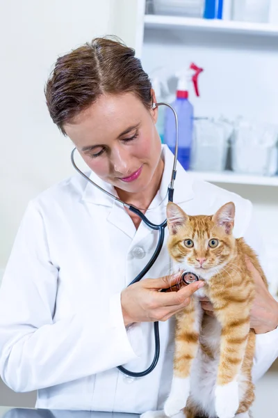 Retrato de mujer veterinaria examinando gatos corazón — Foto de Stock