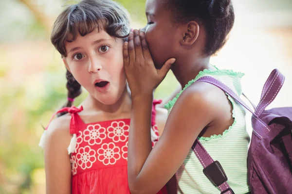 Menina dizendo um segredo para seu amigo — Fotografia de Stock