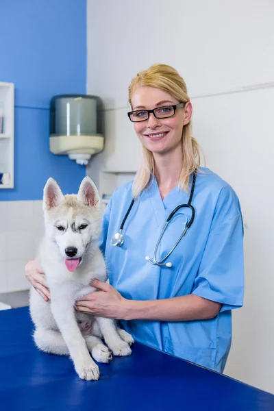 Портрет жінки-ветеринара, що пестить собаку — стокове фото