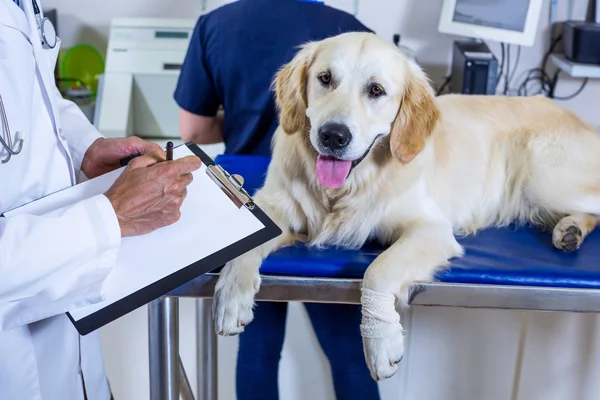 Een dierenarts van de man voor het schrijven van zijn opmerkingen — Stockfoto