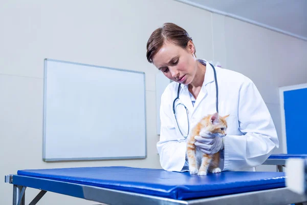 Una mujer veterinaria examinando un gatito — Foto de Stock