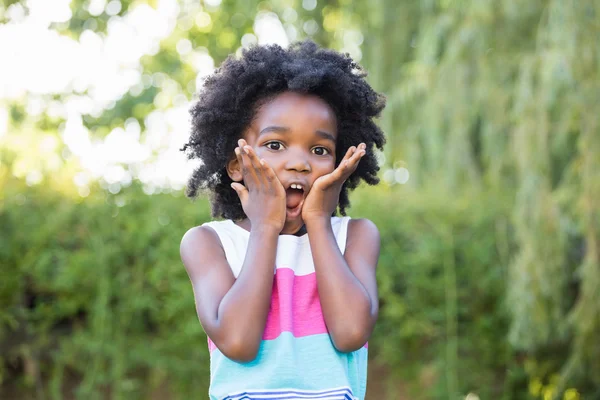 Una niña sorprendida y sosteniendo su cabeza en las manos — Foto de Stock