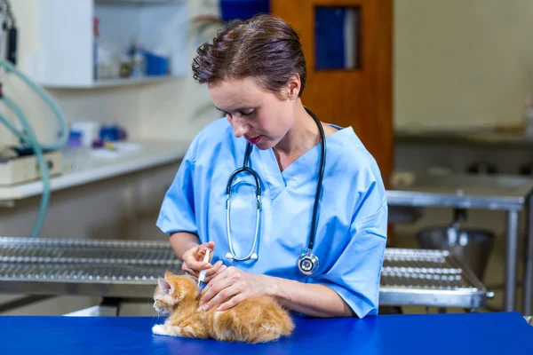 Женщина-ветеринар убирает котенка — стоковое фото