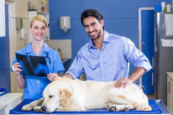 Mujer veterinaria y dueño de perros sonriendo y posando —  Fotos de Stock