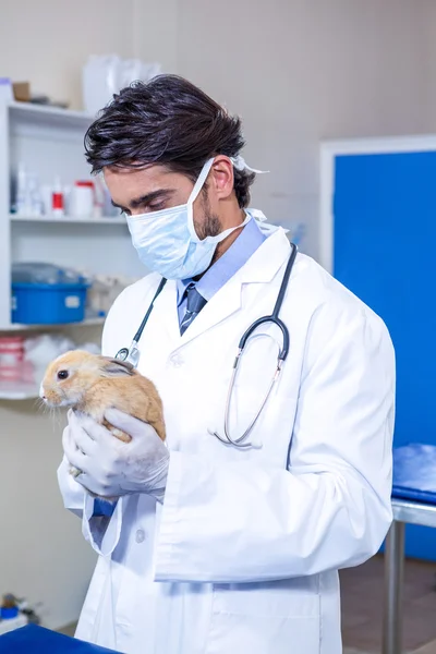 Dierenarts het dragen van een masker houden van een konijn — Stockfoto