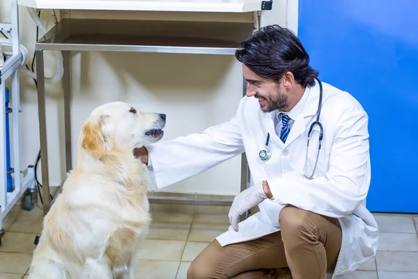 Um homem veterinário acariciando um cão — Fotografia de Stock