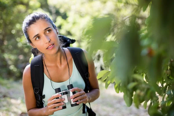 Donna concentrata con binocolo — Foto Stock