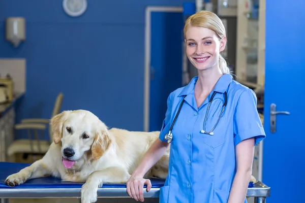 Усміхнена жінка ветеринар позує з собакою — стокове фото