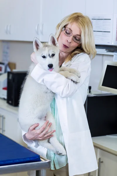 Bir köpek getiren bir kadın Veteriner — Stok fotoğraf