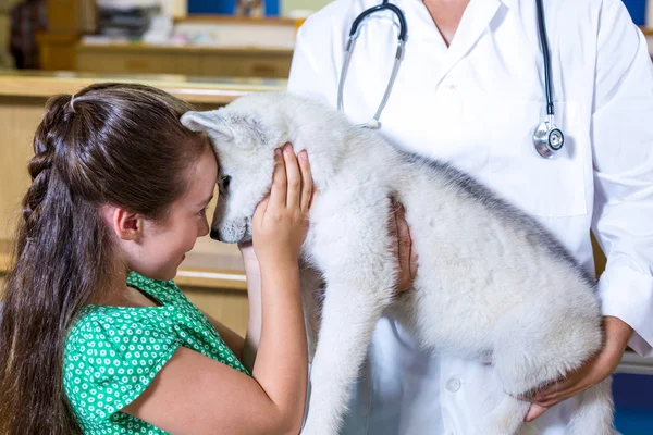 Portrait of little girl giving a hug to a puppy in vets arms — Stock Photo, Image