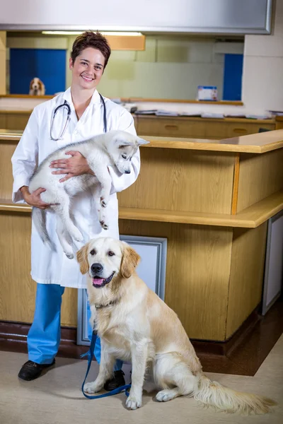 Donna veterinario sorridente e in posa con un cucciolo carino e un cane — Foto Stock