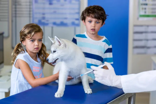 Kleine Kinder mit einem süßen Welpen — Stockfoto