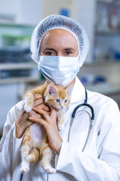 Porträtt av veterinär med mask innehar en söt kattunge — Stockfoto